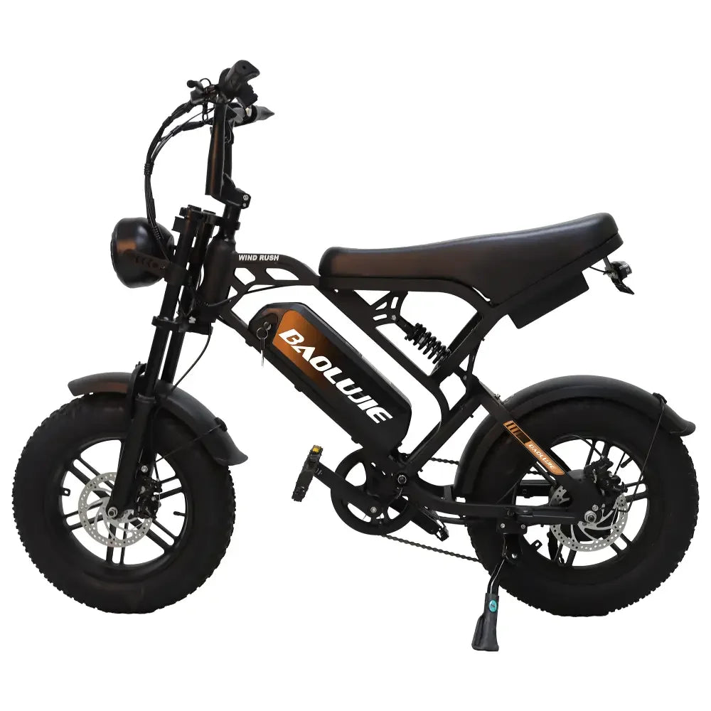 Baolujie DM01 60V 2000W Electric EBike With HighPerformance Motor