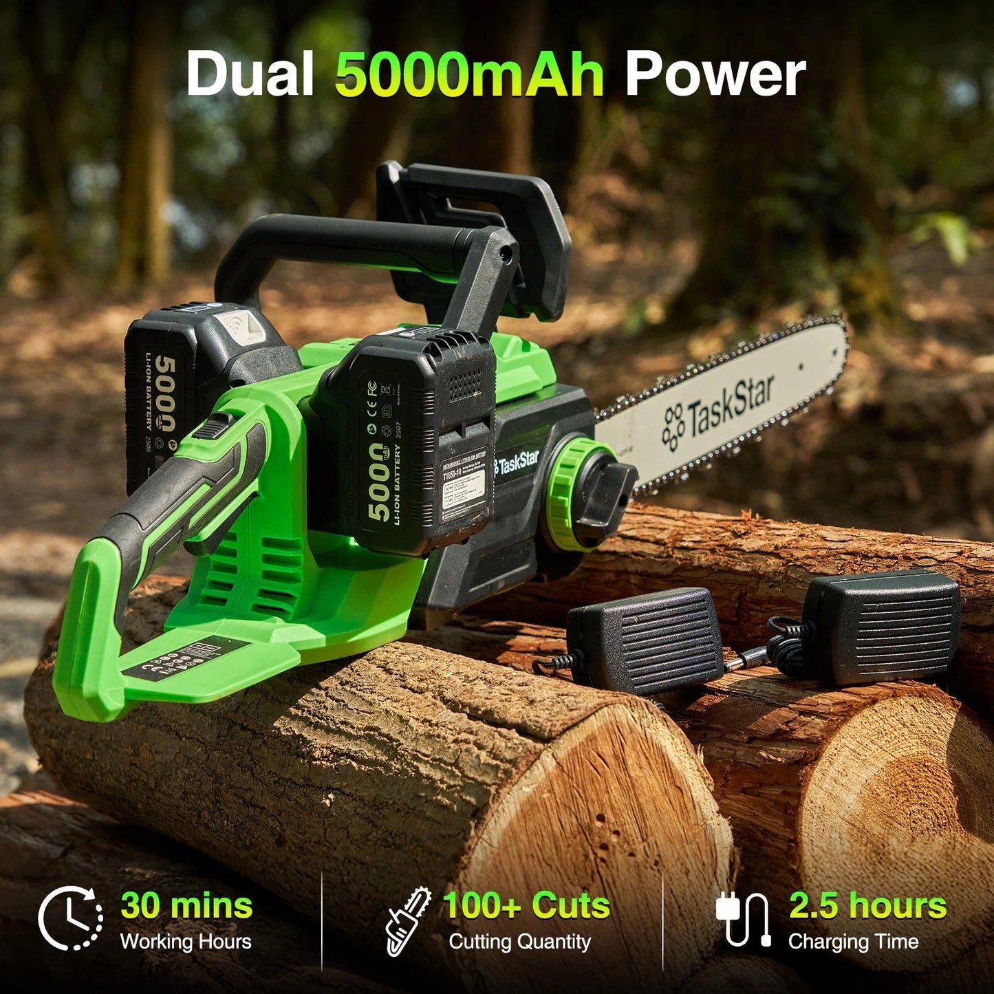 TaskStar 40V Cordless Chainsaw With Auto Oiling 2 5.0Ah Batteries